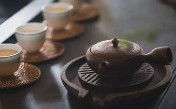 品味人生读后感5篇
