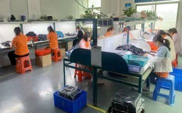 2024iqc工作总结及计划优秀8篇