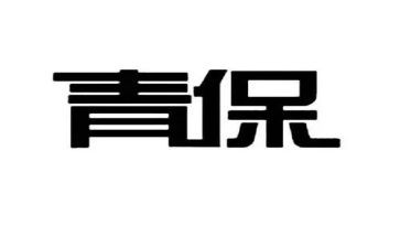 青保年终工作总结8篇