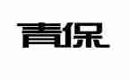 青保年终工作总结模板7篇