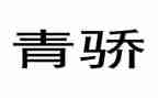 青骄活动总结最新7篇