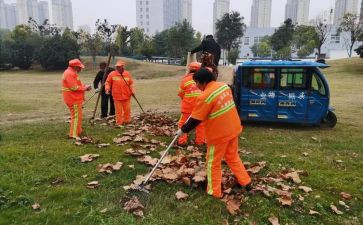 清扫墓作文优秀8篇