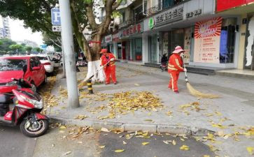 清扫活动总结8篇