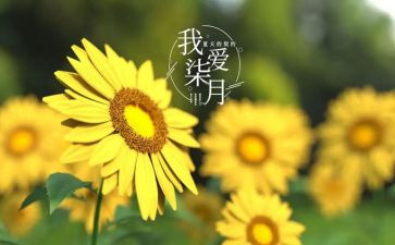 七月份安全工作总结6篇
