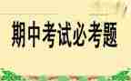期中班主任工作总结8篇