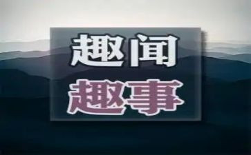 假期趣事作文500字8篇