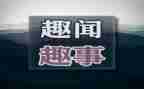 假期趣事作文500字8篇