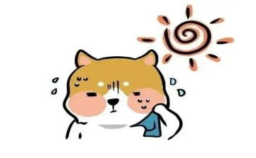 热爱读书作文5篇