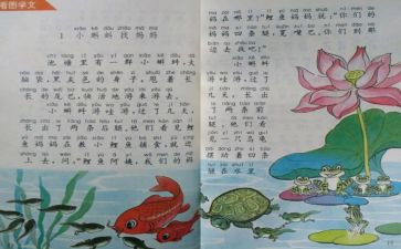幼儿园学期个人教学总结8篇