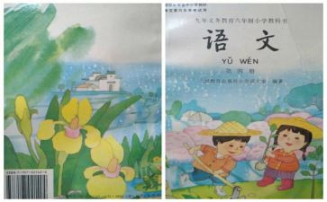 2024个人教师工作总结优质8篇