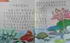小学体育个人教学总结最新5篇