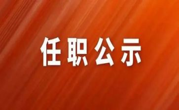 到局任职以来工作总结范文8篇