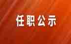 到局任职以来工作总结范文8篇