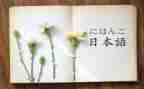 日语专业的简历模板8篇