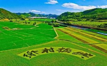 三农心得体会7篇