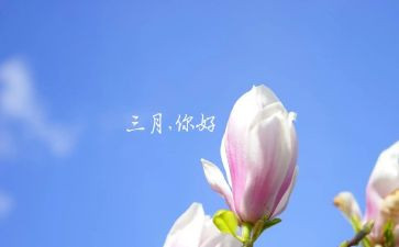 销售三月份工作计划8篇