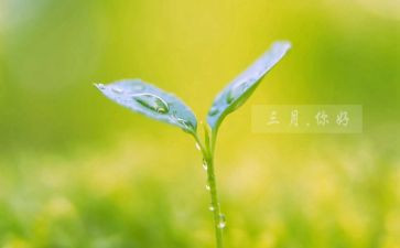 三月个人总结6篇