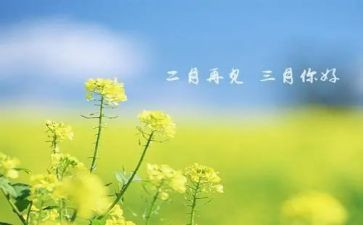 三月记读后感5篇