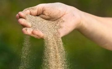 天净沙·秋思教案推荐5篇