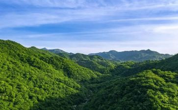 母爱如水父爱如山作文模板5篇