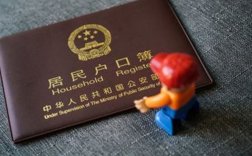 上户口申请书5篇
