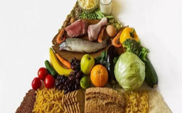 幼儿园年膳食工作计划7篇
