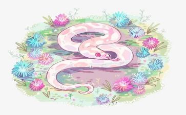 金蟒蛇读后感5篇