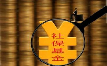 社保所工作总结7篇