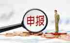 高级申报工作总结6篇