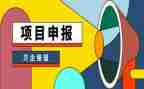 教师申报高级述职报告8篇
