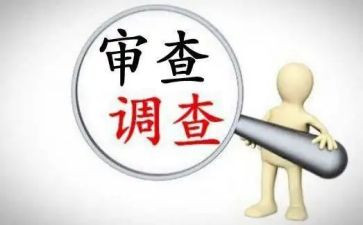审查调查的心得7篇