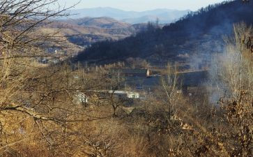 开在记忆深处的花朵作文通用6篇