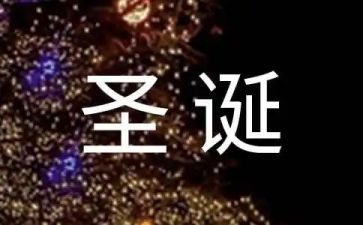 庆祝圣诞节活动总结7篇