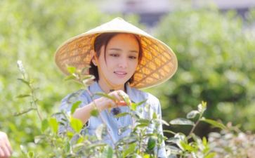 生活里的演讲稿优质7篇