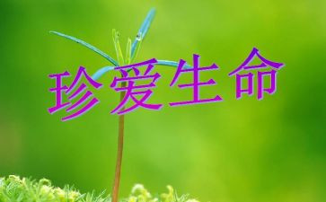 谈生命的作文300字8篇