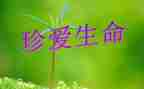 谈生命的作文300字8篇