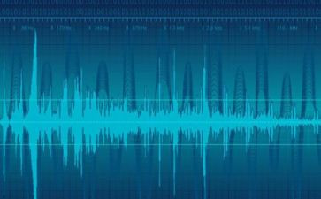 这声音的作文300字8篇