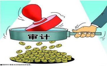 医院审计工作总结6篇