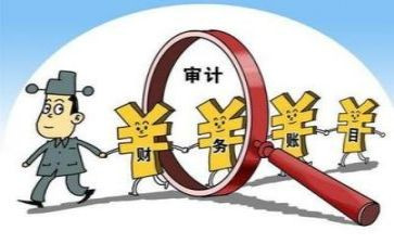 审计工作总结个人总结模板8篇