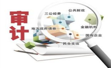 审计年度个人总结5篇