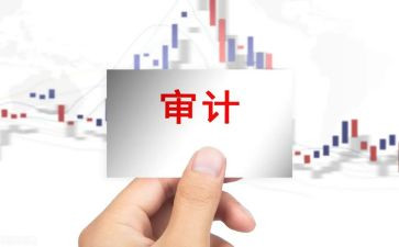 审计从员年终总结7篇