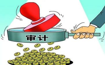 2024年个人审计工作总结6篇