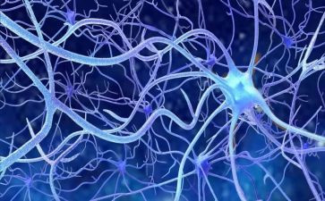 神经外科护士的个人总结6篇