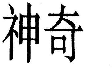 神奇的太阳花女孩读后感8篇