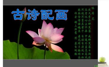古诗的读后感8篇
