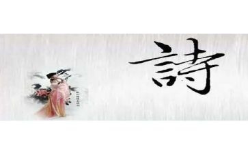 诗中的月作文500字5篇