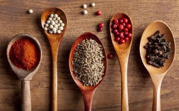 采购食材合同5篇