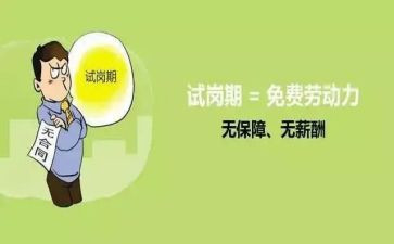 说试岗工作总结7篇