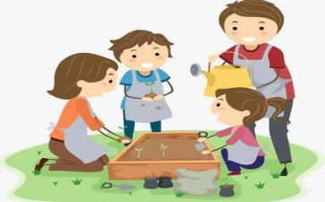 综合的实践心得体会5篇