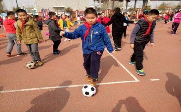 小学实践活动心得体会2022精选5篇